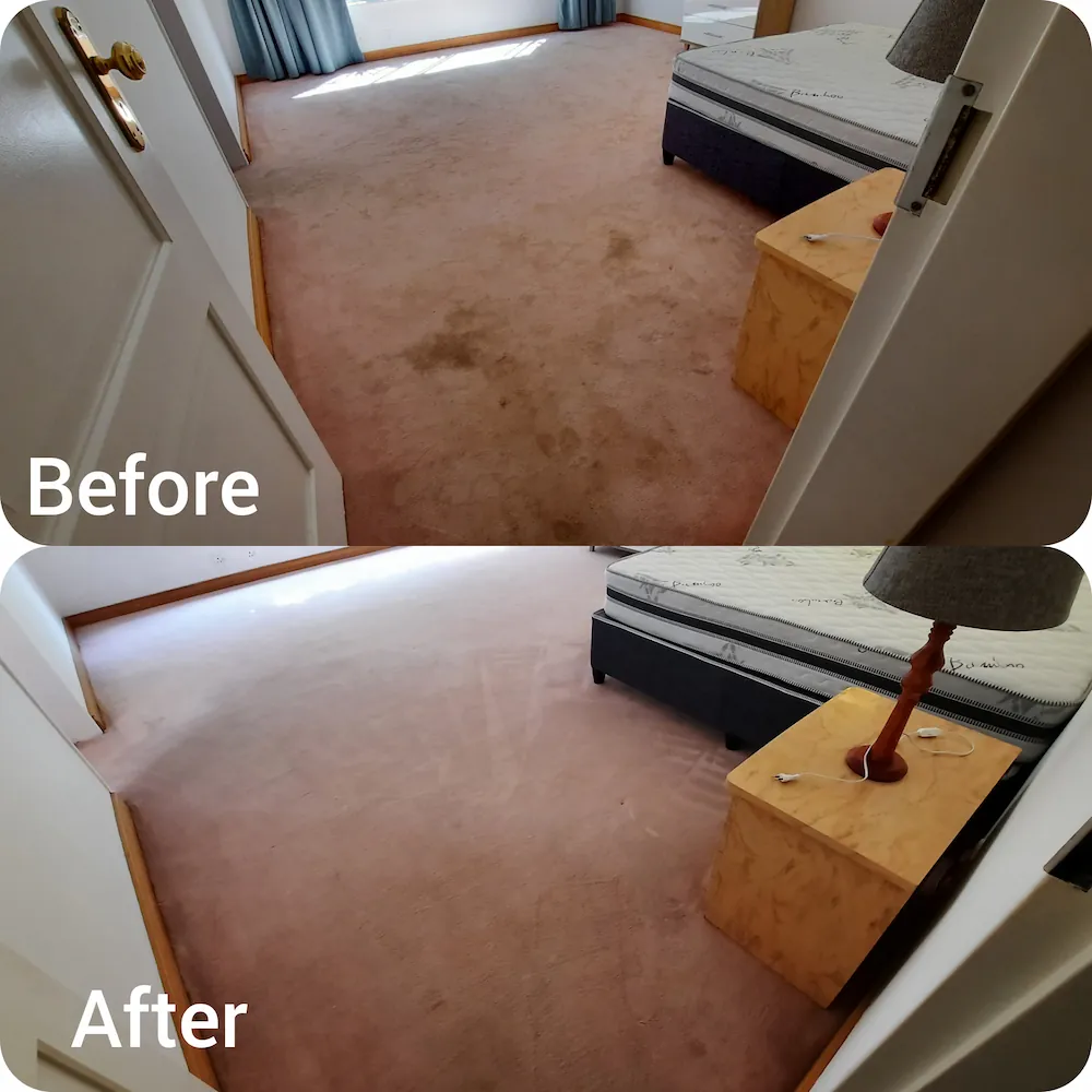 Carpet cleaning before and after in Johannesburg