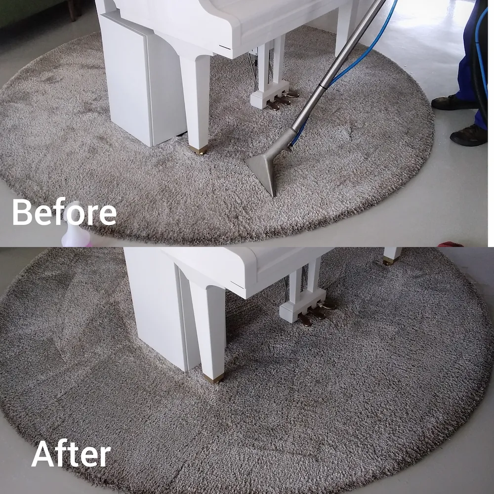 Rug cleaning before and after in Johannesburg